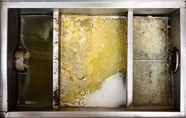 delaying regular grease interceptor cleaning can result in plumbing concerns, foul odors, and health code violations